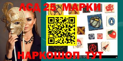 гидропоника Ставрополь