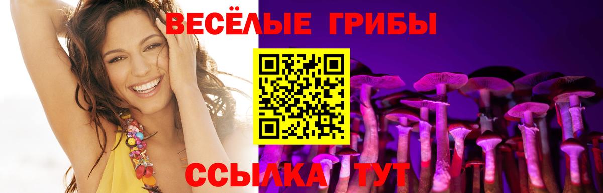 Псилоцибиновые грибы Magic Shrooms  Вход с VPN  Новоалтайск  Псилоцибиновые грибы MAGIC MUSHROOMS 